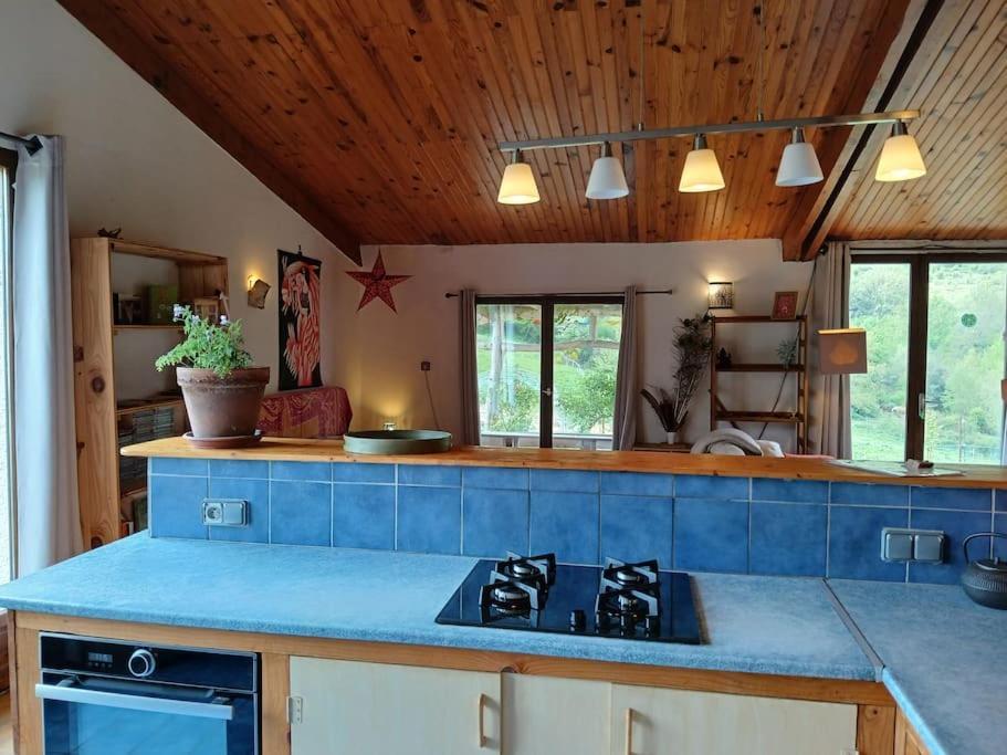 Bright Loft With Mountain And Nature View Sougraigne Exterior foto